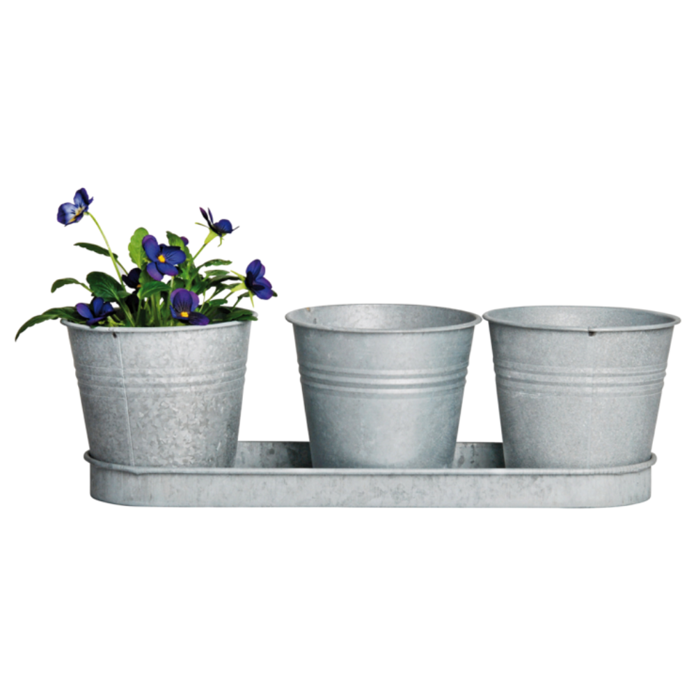 Herb Pot Set | Aged Zinc