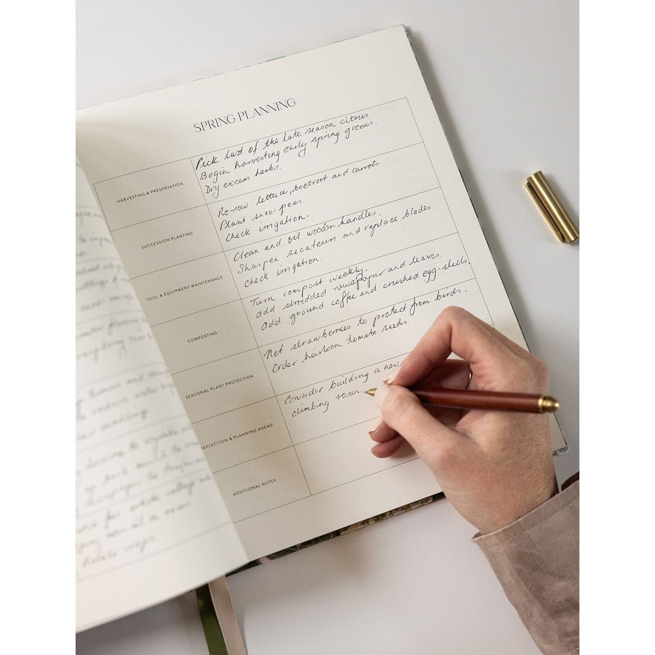 Gardening Journal | Hydrangea