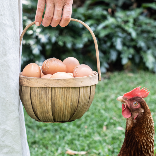 Bushel Baskets | Set of 3