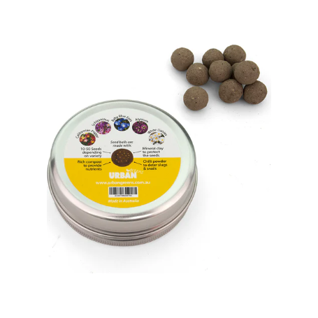 Seed Balls | Bee Friendly Flowers