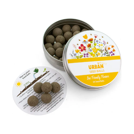 Seed Balls | Bee Friendly Flowers