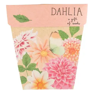 Gift of Seeds | Dahlia