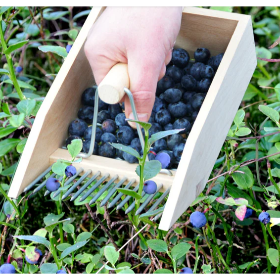 Berry Picker