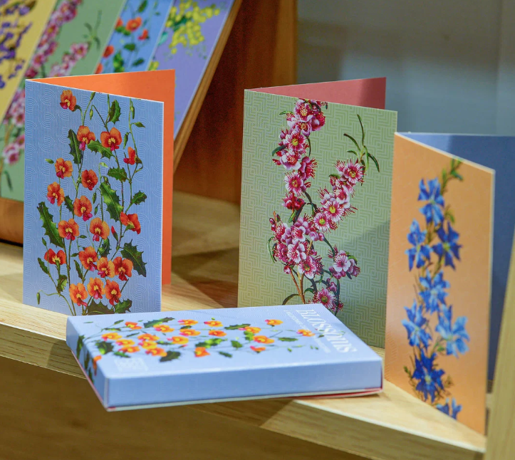 Blossoms Wildflower Greeting Cards | Boxed Set of 6