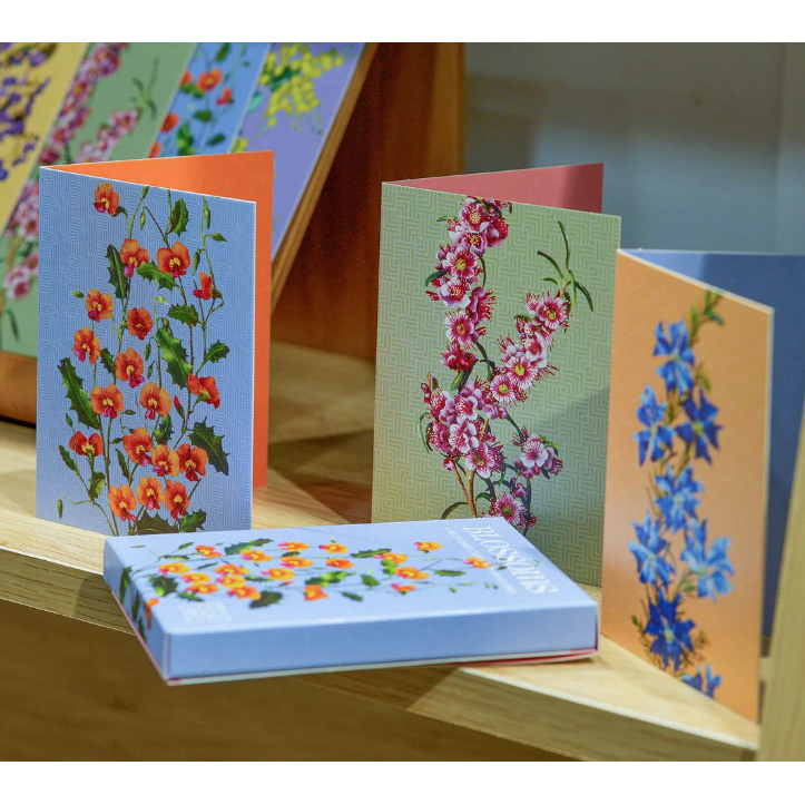 Blossoms Wildflower Greeting Cards | Boxed Set of 6