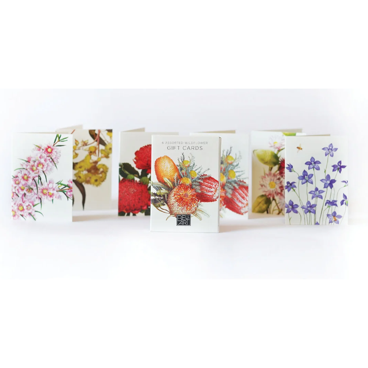 Australian Wildflower Gift Cards | 6 Assorted Native Floral Cards