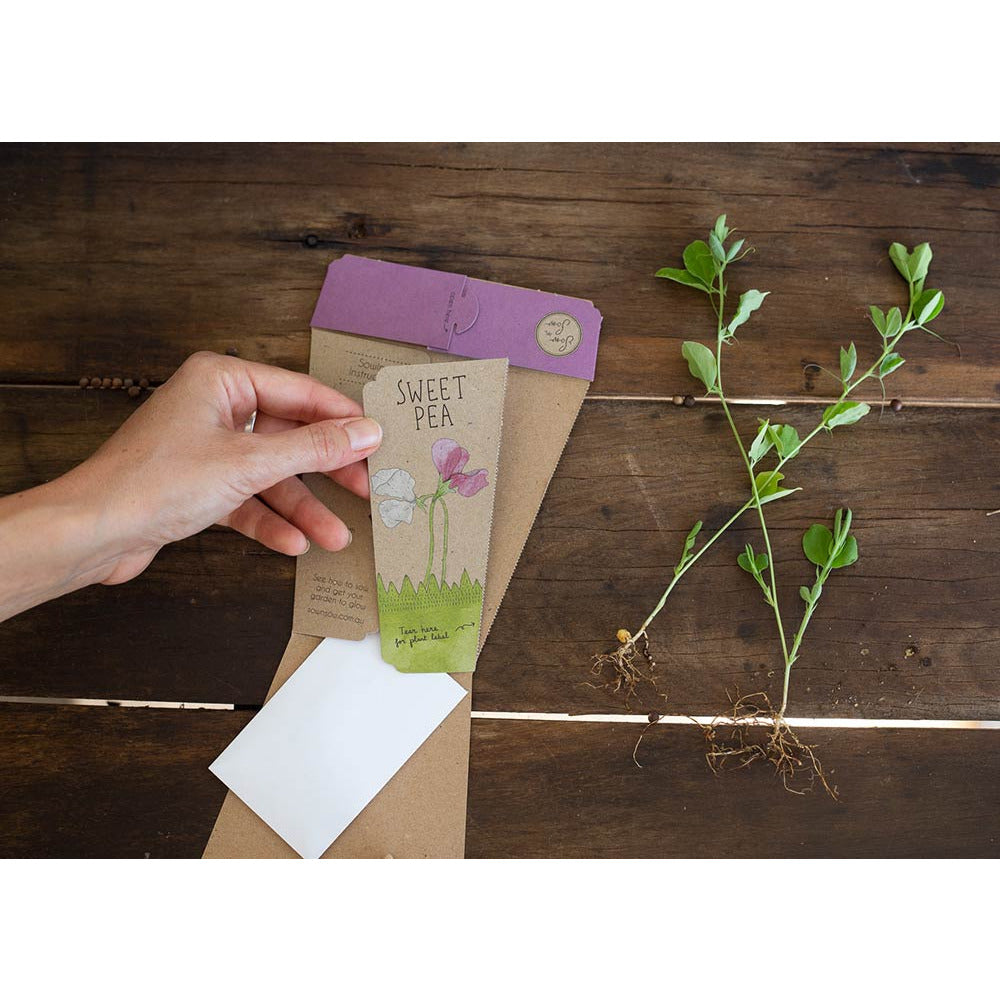 Gift of Seeds | Sweet Pea