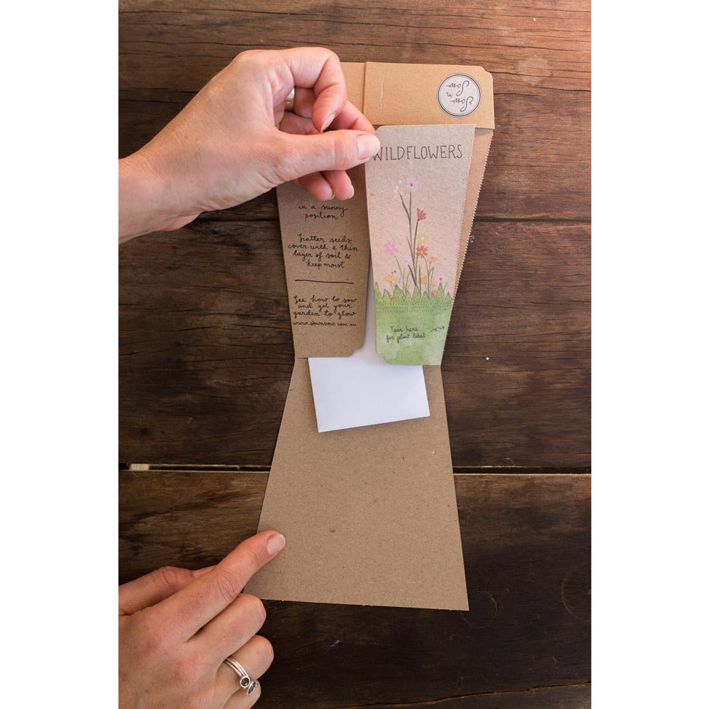Gift of Seeds | Wildflowers