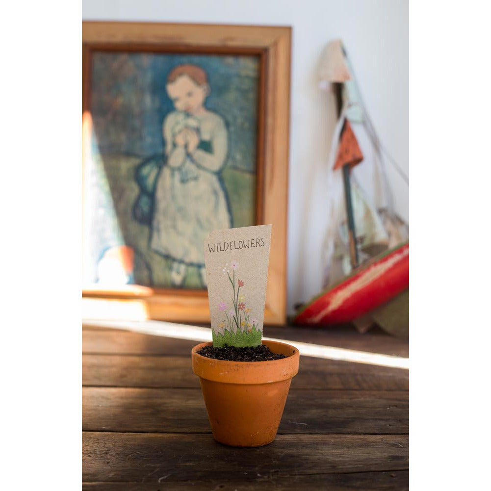 Gift of Seeds | Wildflowers