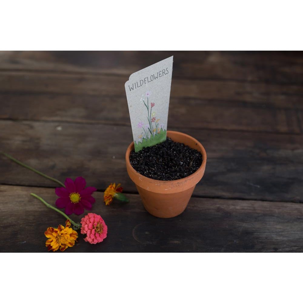 Gift of Seeds | Wildflowers
