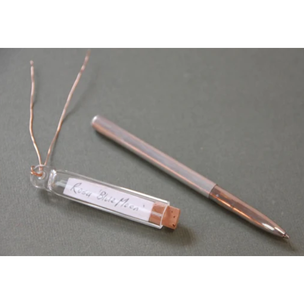 Glass Message Tubes