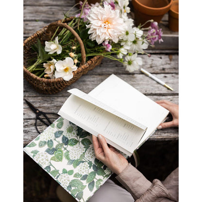 Gardening Journal | Hydrangea