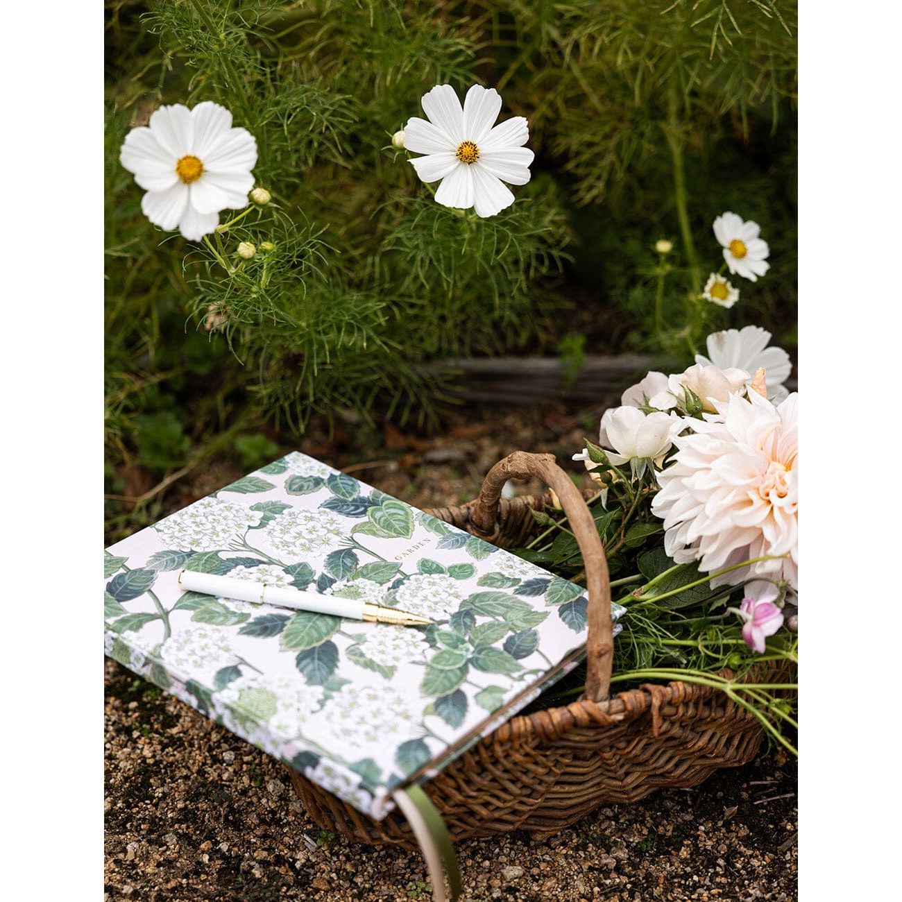 Gardening Journal | Hydrangea