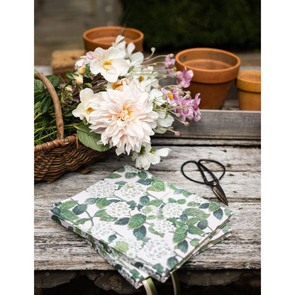 Gardening Journal | Hydrangea