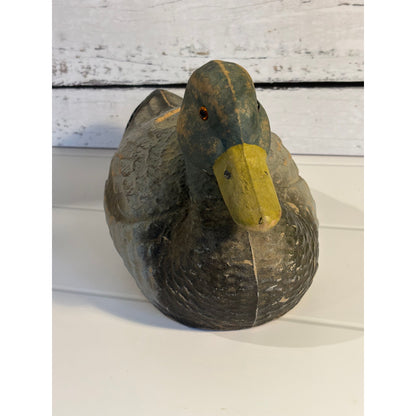 Vintage American Papier-Mâché Mallard Decoy Duck