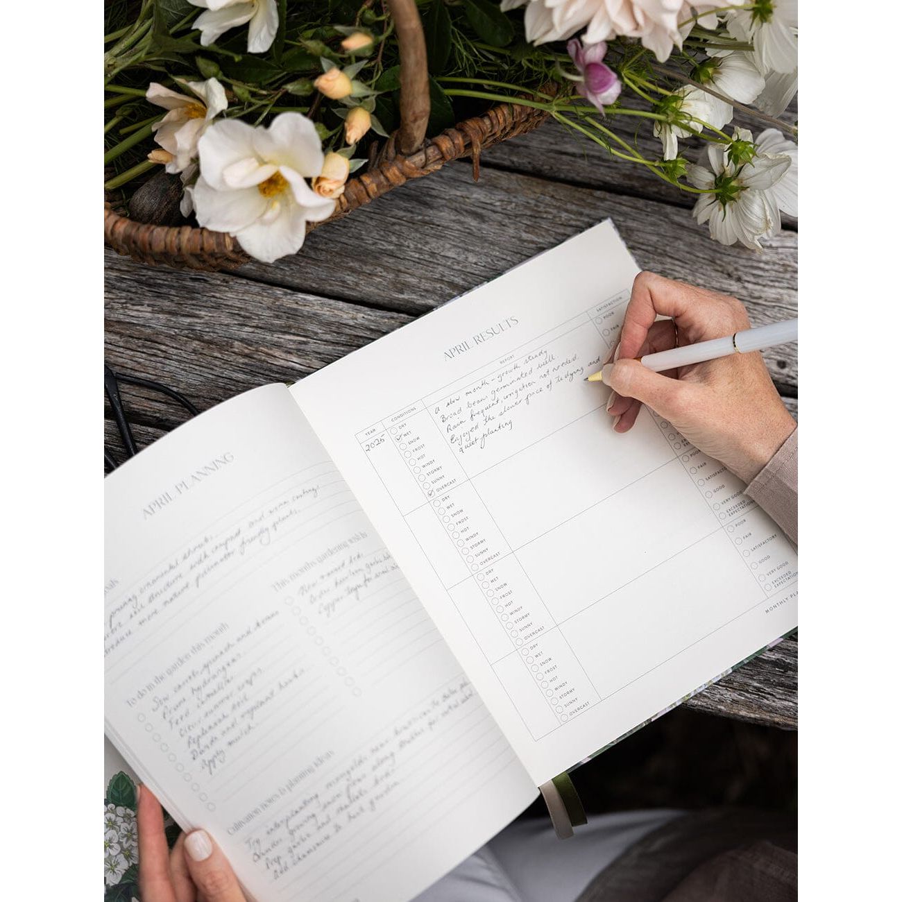 Gardening Journal | Hydrangea