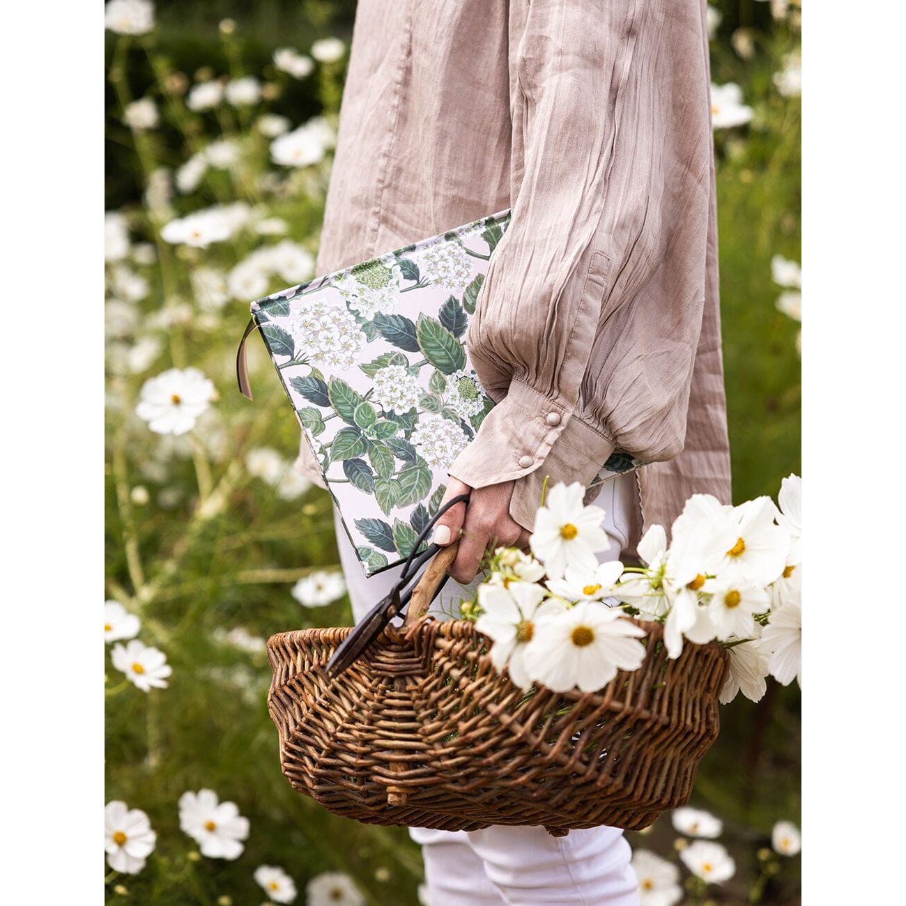 Gardening Journal | Hydrangea