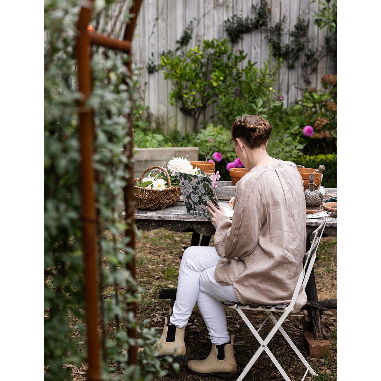 Gardening Journal | Hydrangea