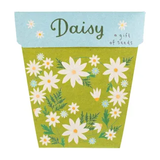 Gift of Seeds | Daisy