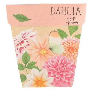 Gift of Seeds | Dahlia