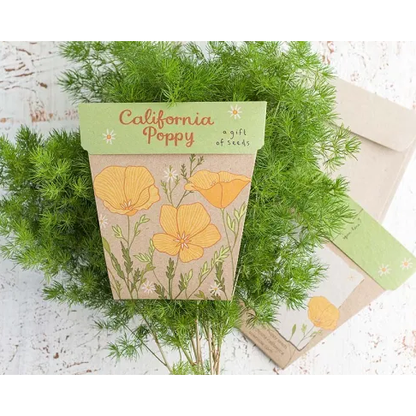 Gift of Seeds | Californian Poppy