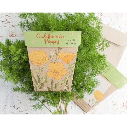 Gift of Seeds | Californian Poppy