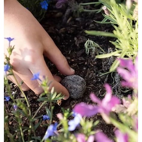 Bee Seed Bombs