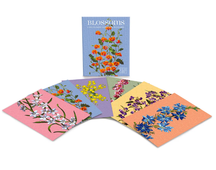 Blossoms Wildflower Greeting Cards | Boxed Set of 6