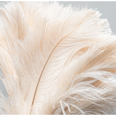 Creamy White Feather Duster – Gentle Static Dusting Brush in 3 Sizes