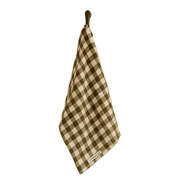 Checkered towel hanging on a hook against a white background