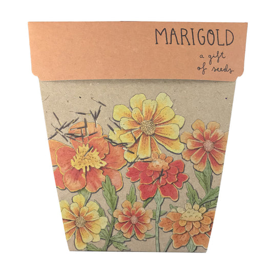 Gift of Seeds | Marigold