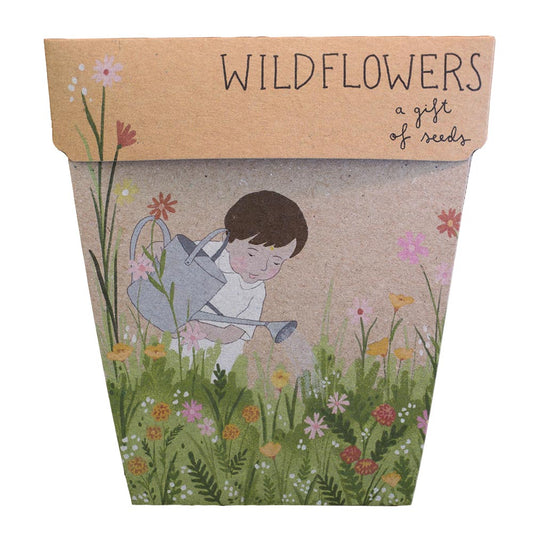 Gift of Seeds | Wildflowers